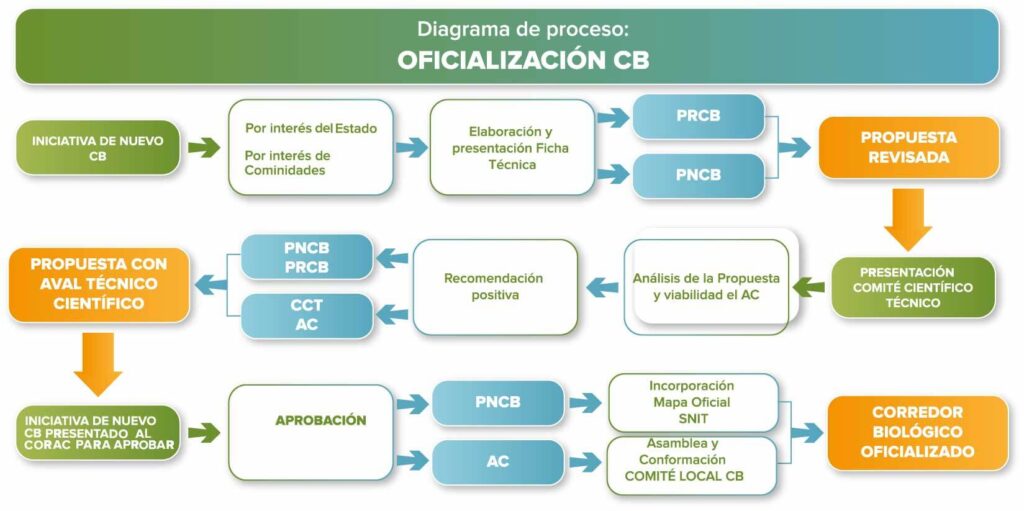 Oficialización CB