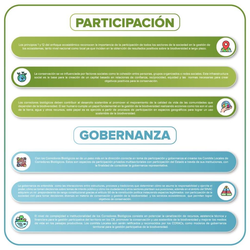 Participación y Gobernanza