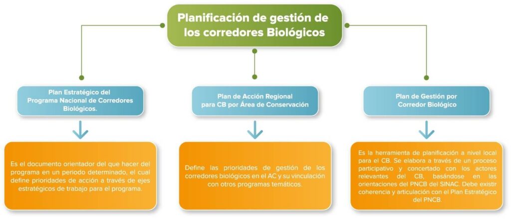 Planificación de Gestión de Corredores Biológicos