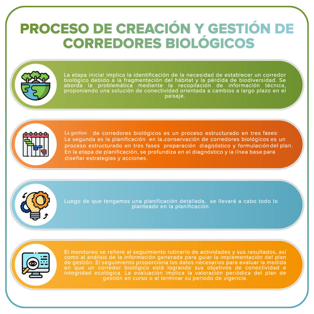 Proceso de creación y gestión de corredores biológicos